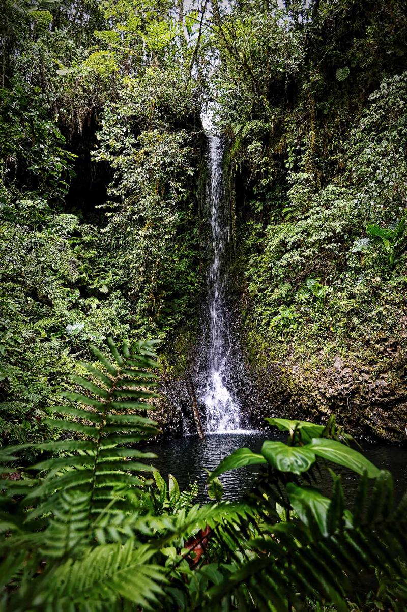 Pohnpei